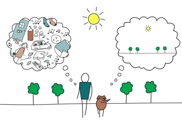 Mindfulness