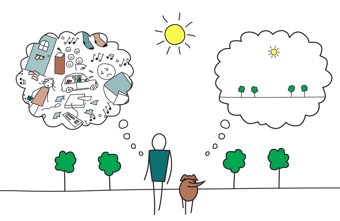 Mindfulness